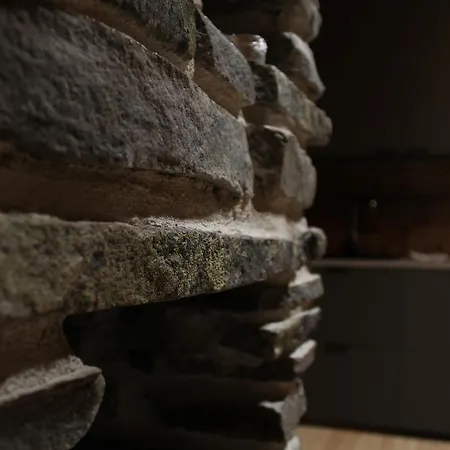 シャレー Olokolo2 - Atmospheric Log Villa, クーサモ